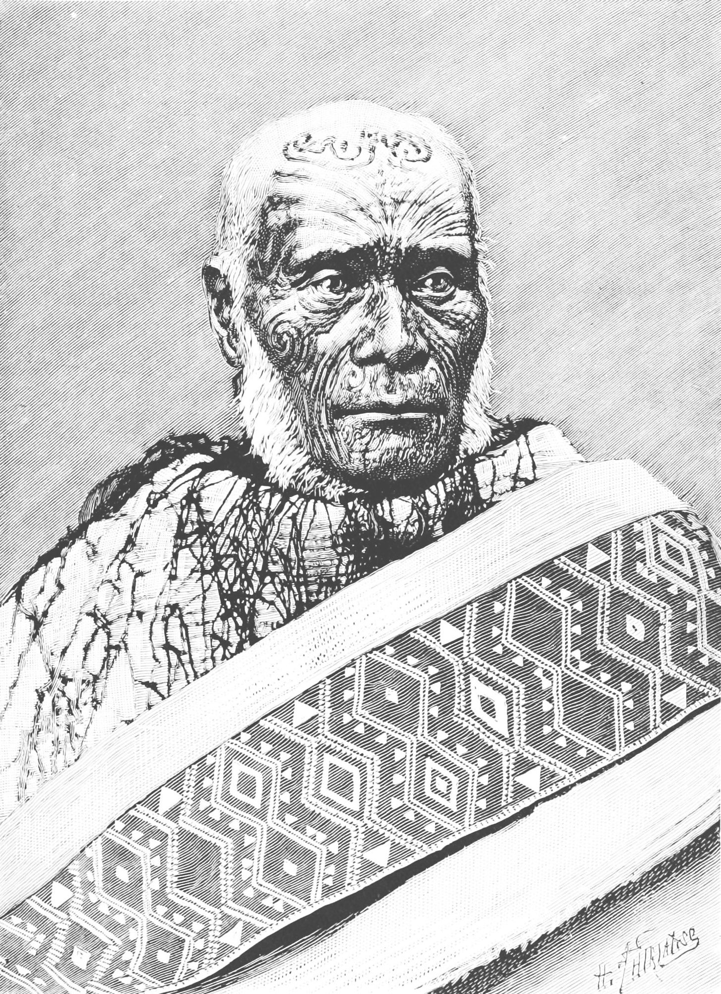 PSM V42 D805 Tattooed maori chief — Māori facial tattoo