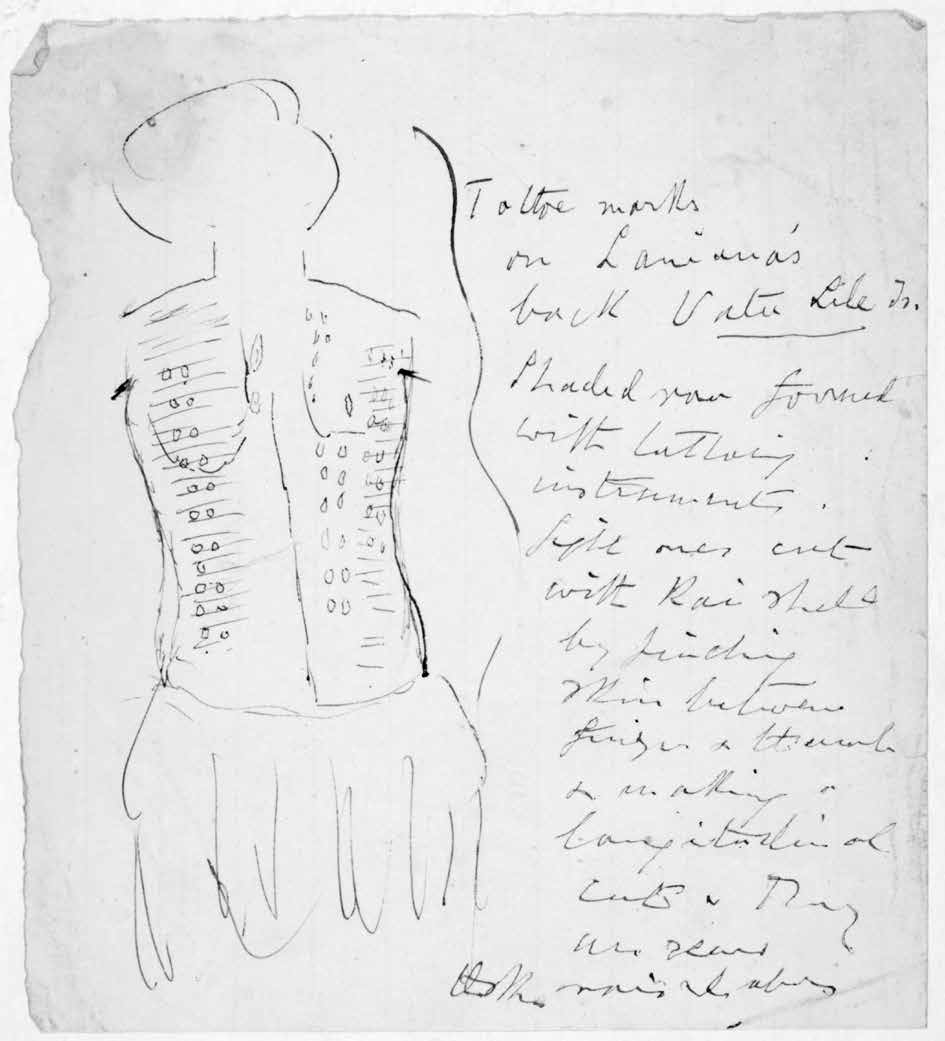 Laniana and a map of her back tattoos, 1875–1876 — Fijian back tattoo
