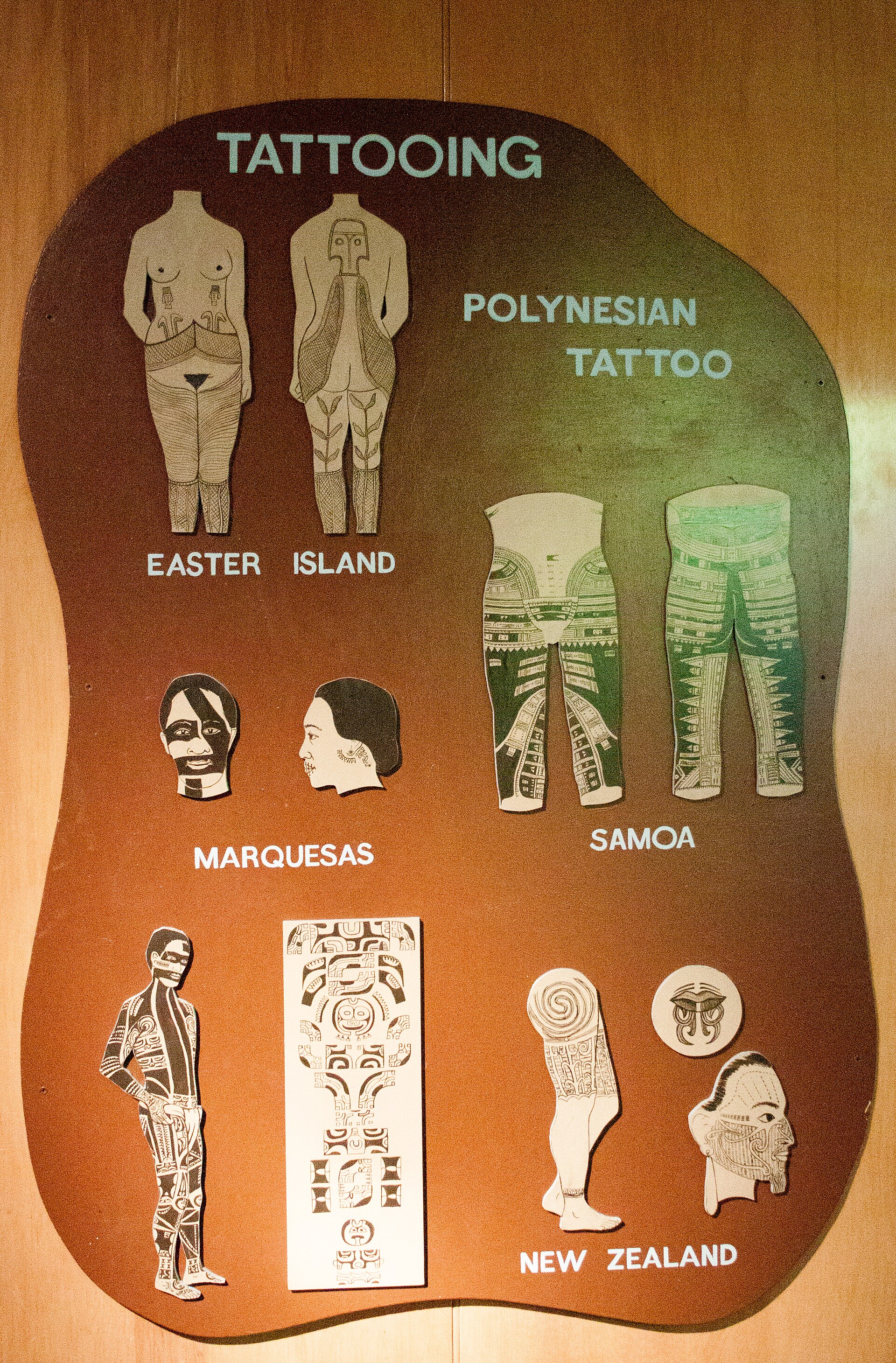 Display of tattoo types, Otago Museum, 2016-01-29 — Māori full-body tattoo by Szilas