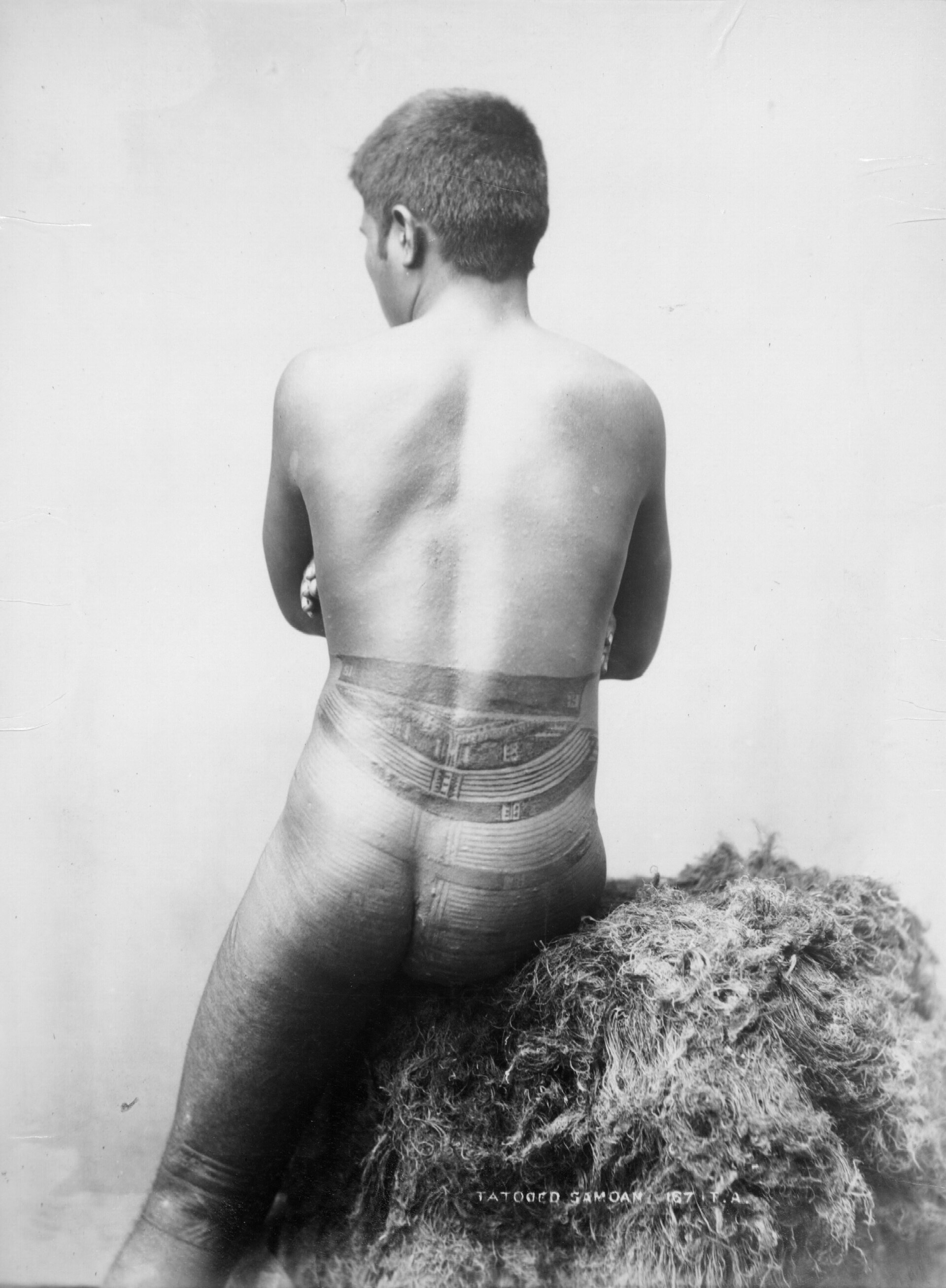 Back view Samoan male tatau - photo Thomas Andrew - 1890s — Samoan back tattoo by Thomas Andrew (1855 - 1939)